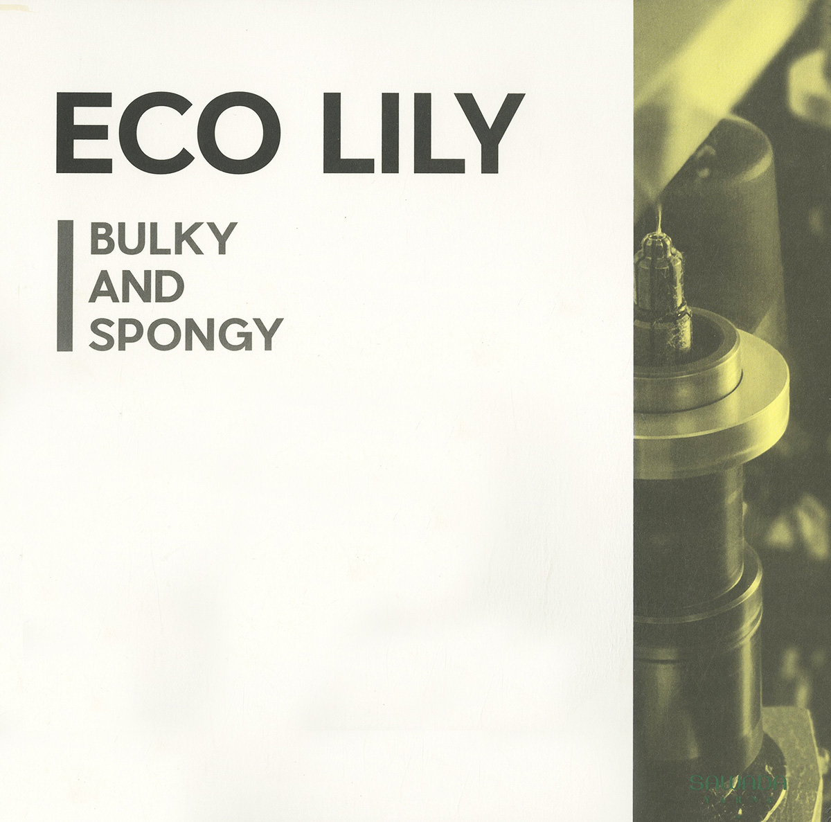 ECO LILY（進(jìn)口再生滌綸）