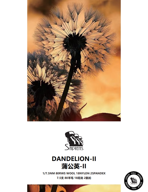 蒲公英-DANDELION