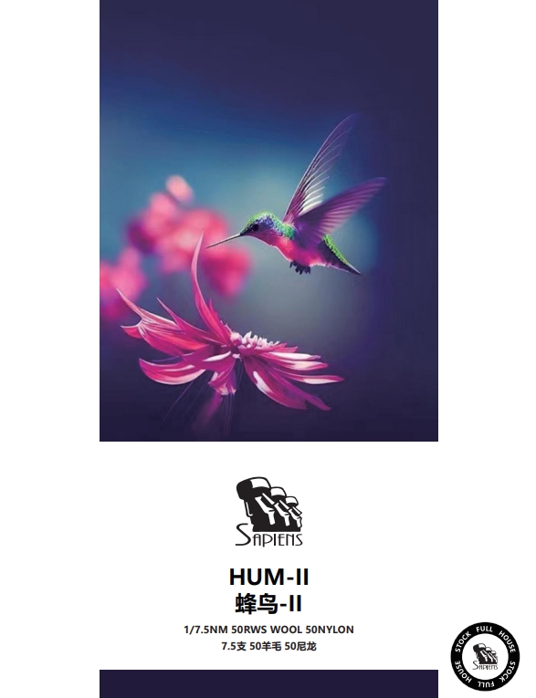 蜂鳥-II-HUM-II