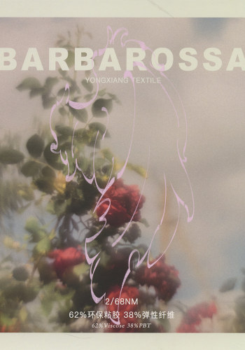 BARBAROSSA色卡