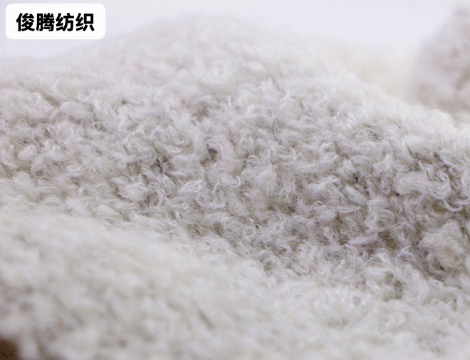 4.5支泰迪絨