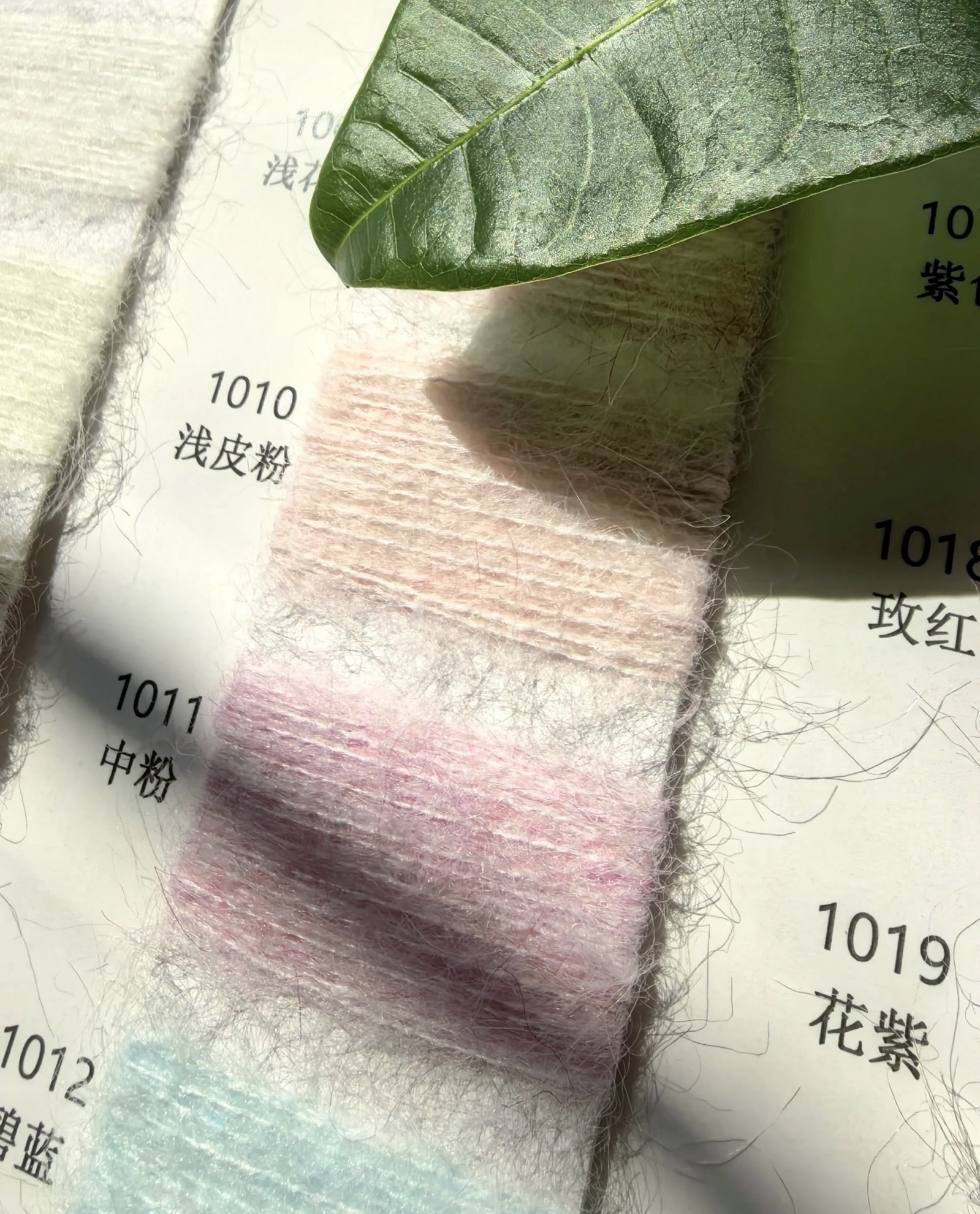 10支瀚海