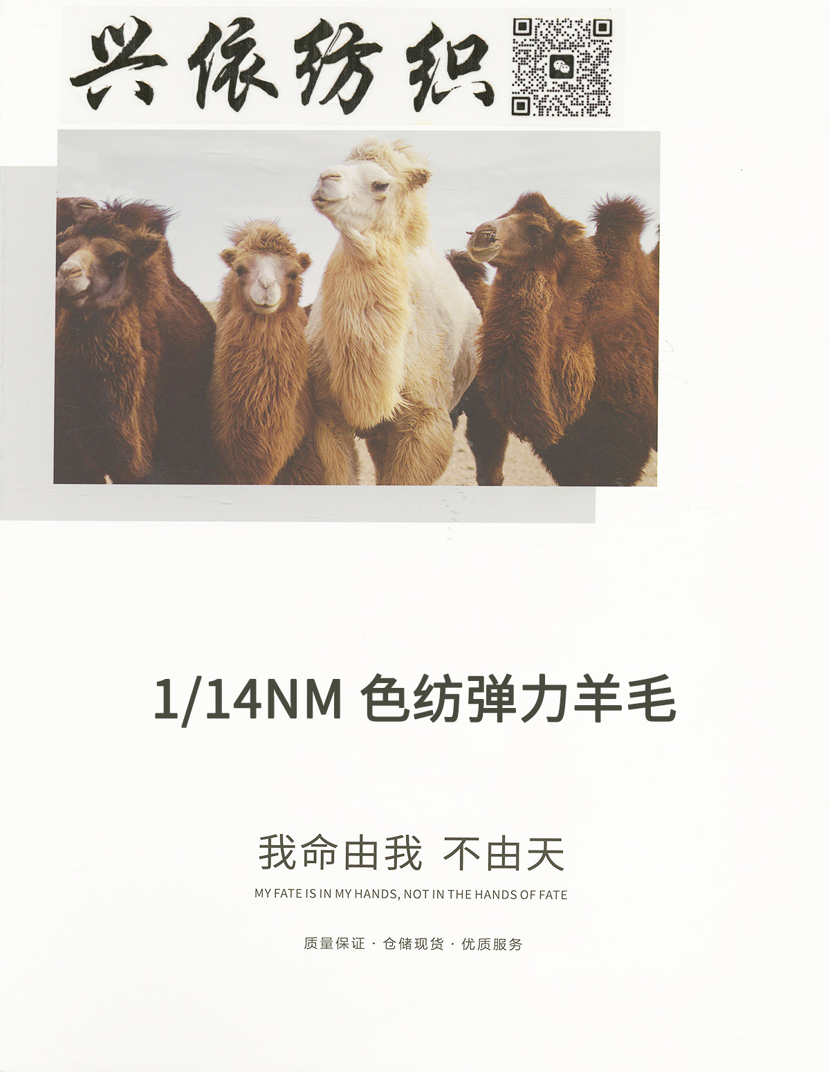 色紡彈力羊毛馬海