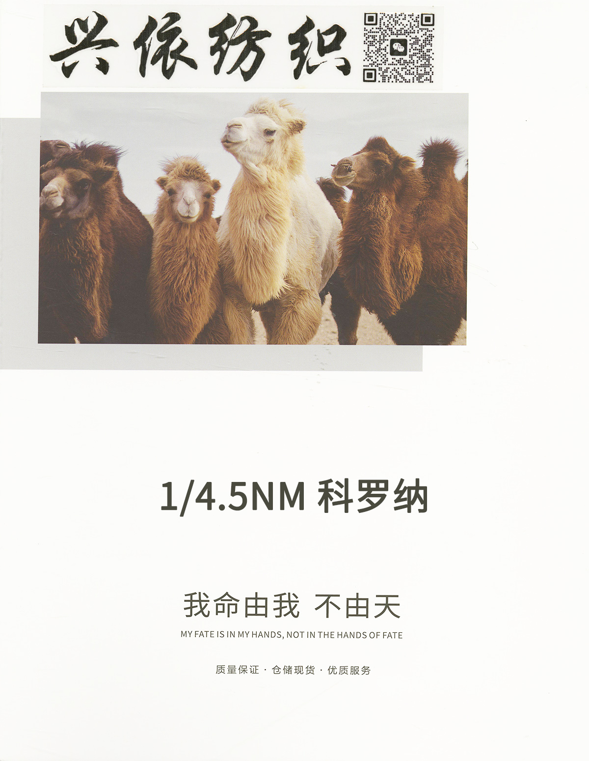 科羅納