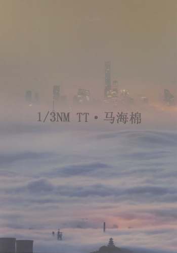 TT·馬海棉色卡