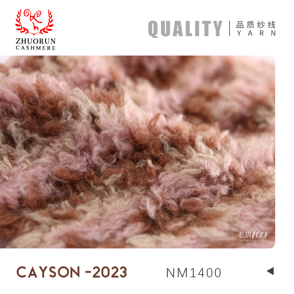 CAYSON -2024