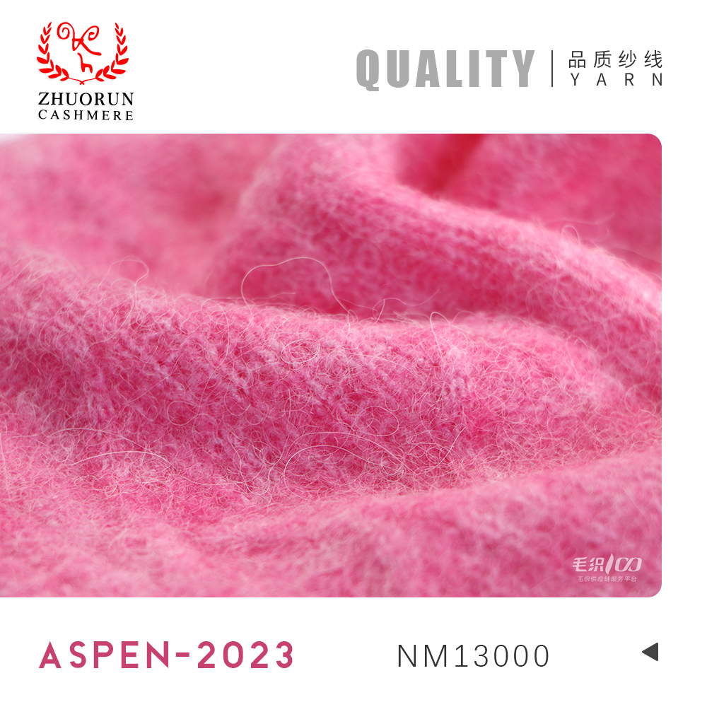 ASPEN-2023