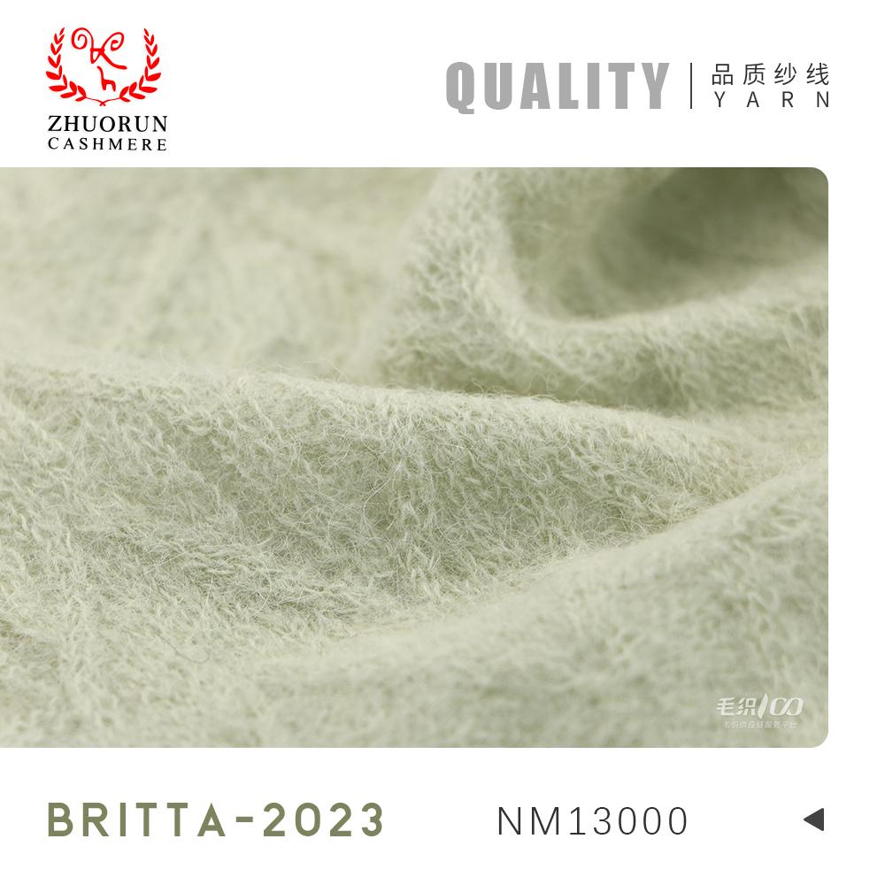 BRITTA-2023