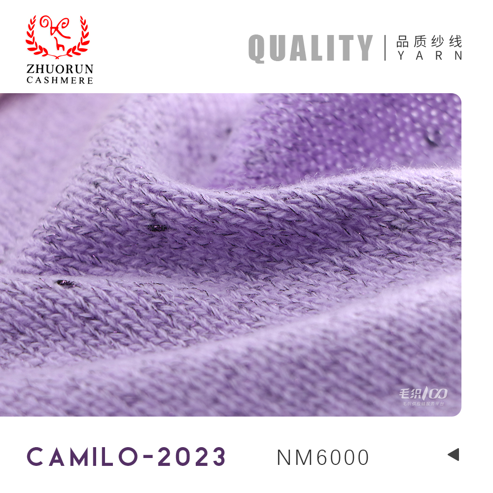 CAMILO-2023