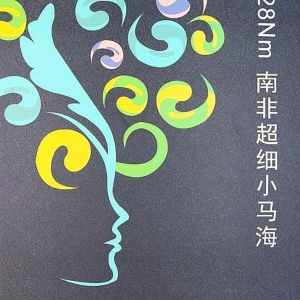 南非超细小马海