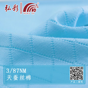 3/87NM天蚕丝棉