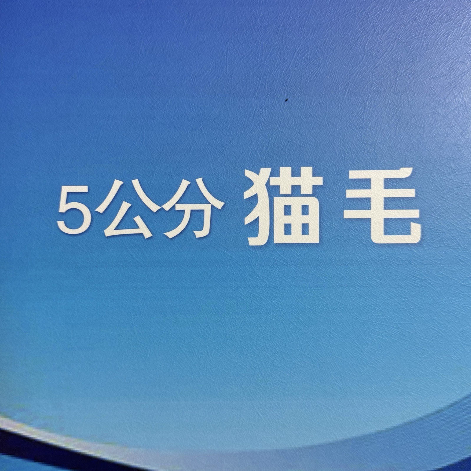 5公分猫毛