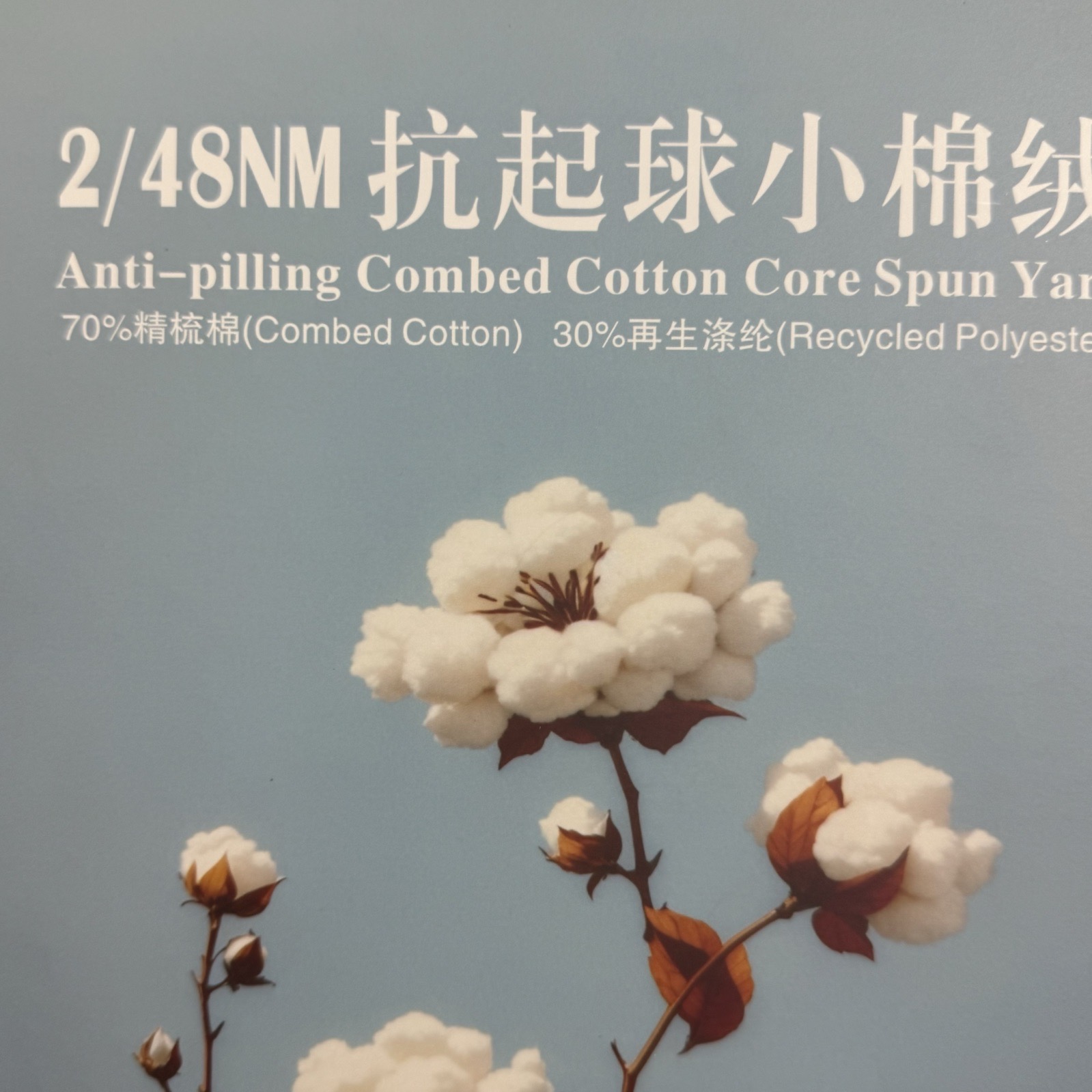 2/48NM抗起球小绵绒