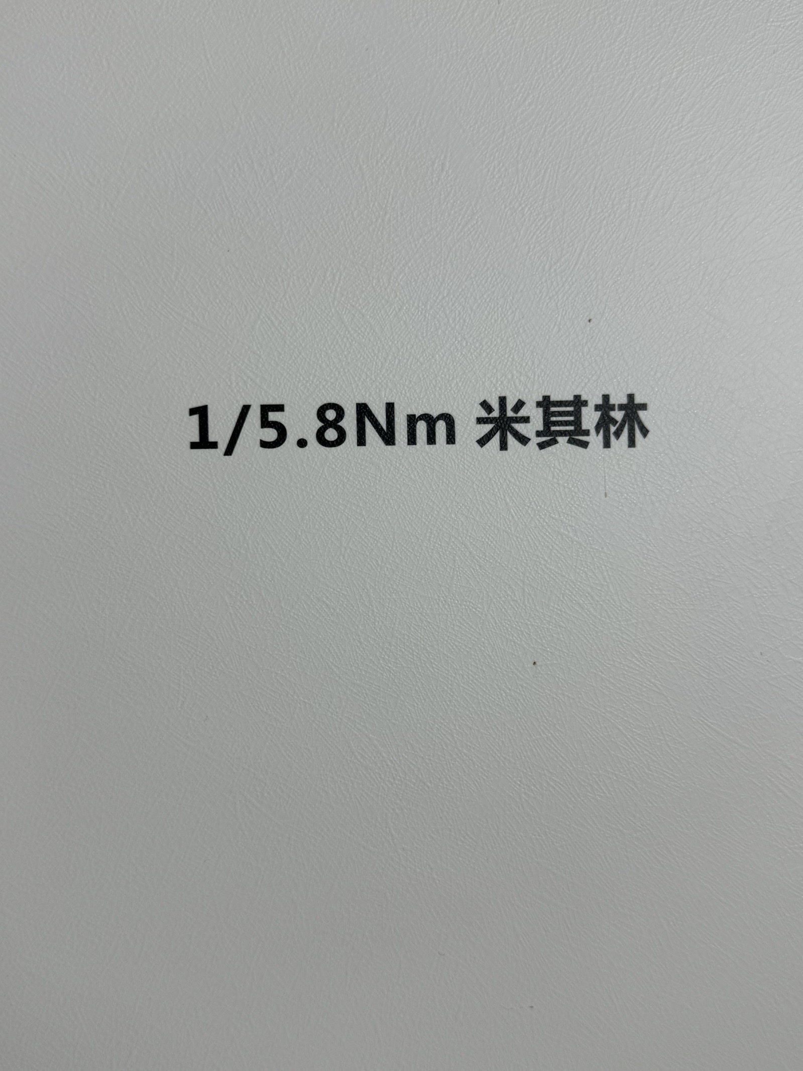 1/5.8NM米其林
