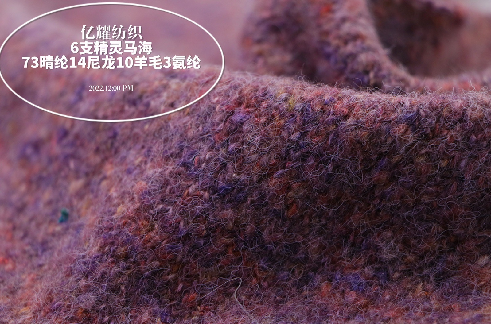 6支精靈馬海