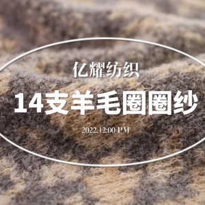 1/14NM羊毛圈圈纱