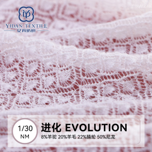 進(jìn)化Evolution