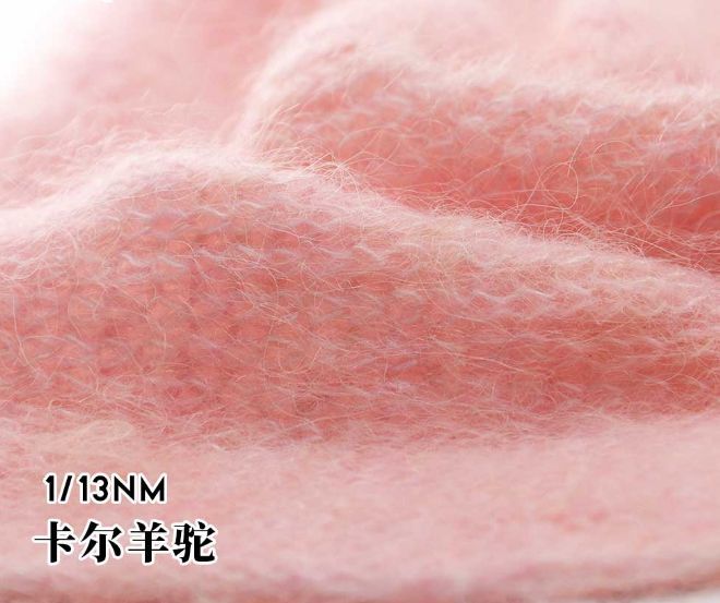 卡爾羊駝CARL
