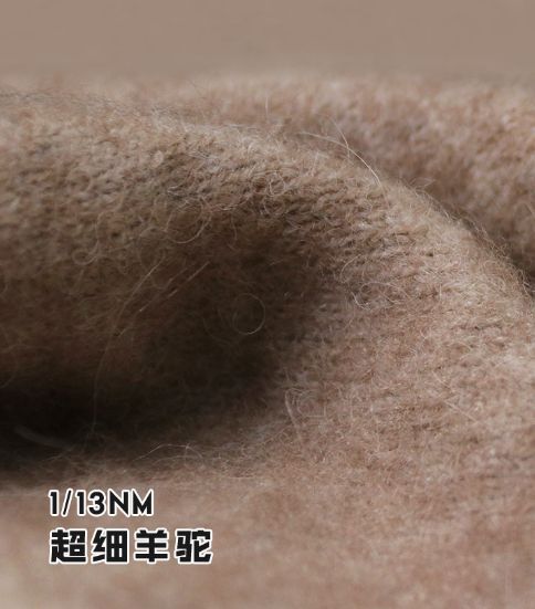經(jīng)典羊駝EARTH
